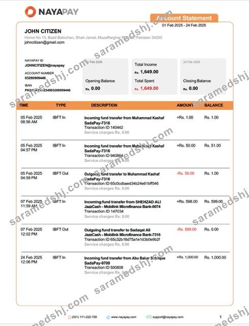 Pakistan NayaPay account statement Word and PDF template